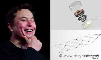 Elon Musk's Neuralink explores deal with brain-computer firm that implanted chip into ALS patient