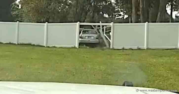 Suspected Car Thief Behind Bars After K-9 Deputy Brings High-Speed Chase to an Abrupt End