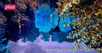 Alsfeld: Illuminierter Erlenteich als Kulisse - Lauterbacher Anzeiger