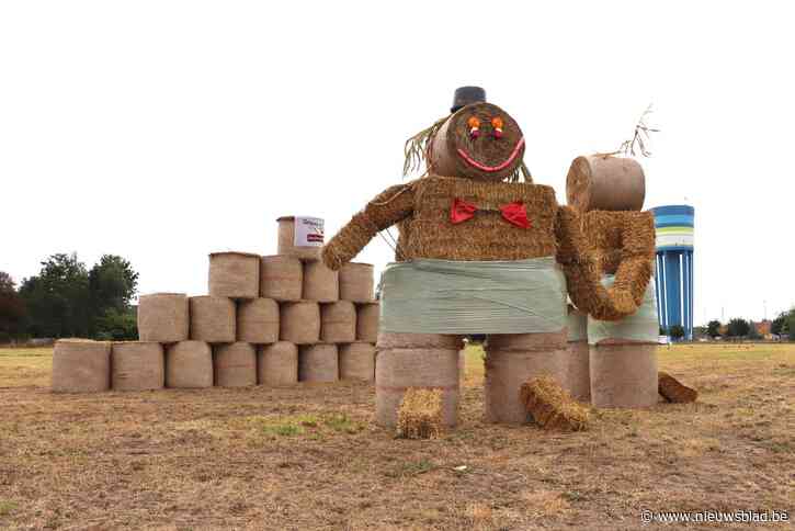 Stropoppen veroorzaken enige commotie nadat geen aanvraag werd gedaan voor constructie