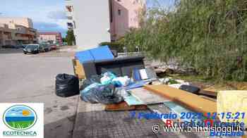 PD: "Contro l'abbandono dei rifiuti, sensibilizzazione e inasprire le sanzioni” - Brindisi Oggi, news Brindisi notizie Brindisi e provincia - BrindisiOggi