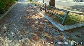 Brindisi, la pista ciclabile dei Pittachi tra sporcizia e degrado - quotidianodipuglia.it
