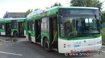 Da domani attivo il Servizio Estivo Sperimentale di Collegamento Brindisi – Torre Guaceto – Torre Santa Sabina - BrindisiOggi