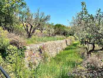 Ventimiglia, l’Associazione Terre di Grimaldi organizza il corso per la costruzione dei muretti a secco - Riviera24