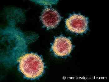 COVID-19 update: Quebec reports 633 new cases, one more death