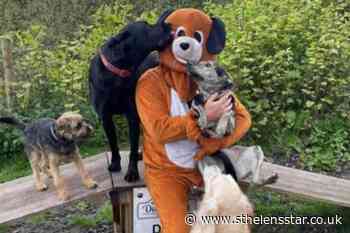 Meet the Newton dog walker offering a unique service - St Helens Star