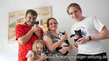 Die Braunschweiger Familie Spakowski und ihr Katzenglück