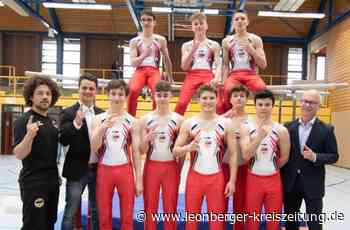 Turnen - WTG-Trio turnt um den Aufstieg - Leonberger Kreiszeitung