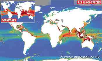 Mass extinction of up to 90 PERCENT of all marine species could happen by 2100
