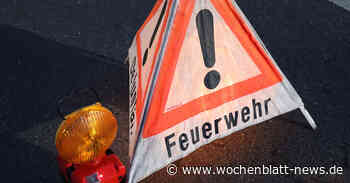 Drei Einsätze beschäftigte die Feuerwehr Lindau am Wochenende - WOCHENBLATT