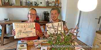 Darum hat es ein Adventskalender aus dem Kreis Hildesheim schon jetzt in sich - www.hildesheimer-allgemeine.de