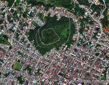 Xalapa y Coatepec perdieron más de mil hectáreas de cobertura arbórea por mancha urbana - AVC Noticias