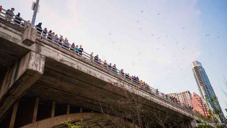 Bat Fest happening this weekend: Road closures you need to know about