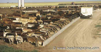 Feedlots defy gravity again