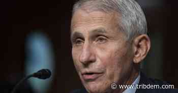 Fauci to step down after decades as top U.S. infection expert - TribDem.com