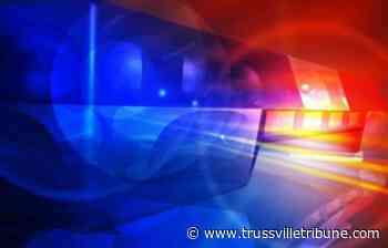 St. Clair Sheriff's Office apprehends suspect for threat to school - Trussvilletribune