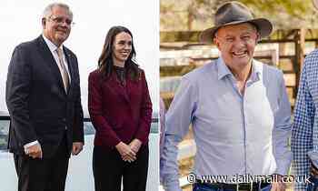 Anthony Albanese blames Scott Morrison for skills shortage facing Australia - Daily Mail