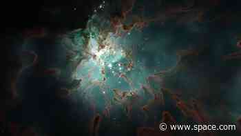 Stars appear to regulate their own masses during formation