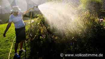 Bewässerung in Gardelegen: Brunnenbau oder Außenwasserzähler? Was lohnt sich? Was kostet es? - Volksstimme