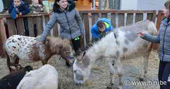 Levend Erfgoed Expo op domein Puyenbroeck | Wachtebeke | hln.be - Het Laatste Nieuws