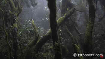 How You Should Edit Your Landscape Photos