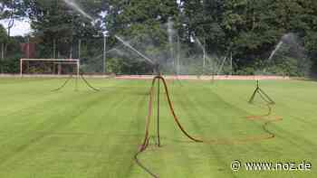 Aufruf des Landkreises : Sparsam bewässern: Was wird aus Blumen und Sportplätzen in Papenburg? - NOZ