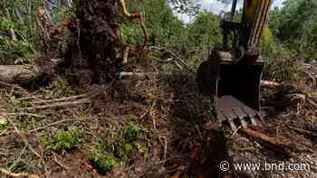 Maya village’s water, future threatened by Mexican train - Belleville News-Democrat