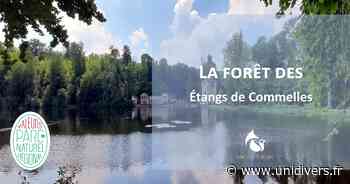 Orry-la-Ville, « La forêt des étangs de Comelles » Orry-la-Ville Orry-la-Ville - Unidivers