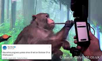 Elon Musk announces Neuralink's 'show and tell' event on Halloween