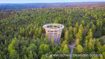 Ausflug nach Bad Wildbad: Der Baumwipfelpfad bringt Groß und Klein zum Staunen