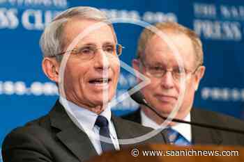 Anthony Fauci will Step down in December - Saanich News