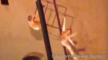Acrobata cade da quattro metri, attimi di paura nel castello di Vigevano - La Provincia Pavese