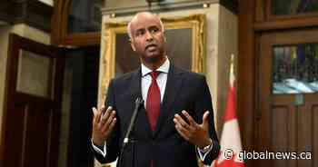 Ottawa axes funding for anti-racism project over ‘vile’ tweets by consultant - Global News
