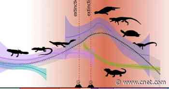 Age of Reptiles Spurred by Climate Change, According to Harvard Researchers     - CNET