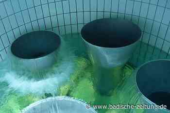 Badenova ruft zum Trinkwassersparen in Kuhbach und Reichenbach auf - Lahr - badische-zeitung.de