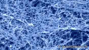 Scoperte cellule staminali “dormienti” in grado di riparare le lesioni a sistema nervoso e midoll - Gazzetta del Sud