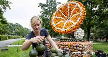 Kürbiszeit auf der Gartenschau: Elvis grüßt am Eingang - Kaiserslautern - Rheinpfalz.de
