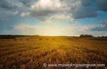 Northern Ontario unites during 100th Royal Agricultural Winter Fair - My West Nipissing Now