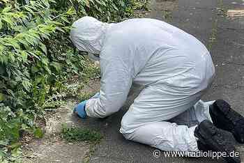Detmold: Feuerwehr musste verdächtiges gelbes Pulver beseitigen - Radio Lippe