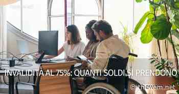Quanti soldi si prendono con l'invalidità al 75 per cento? - The Wam