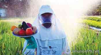 Cento anni da ricordare - comune-info.net