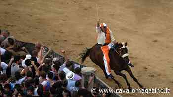 Violenta da Clodia, e le altre vittoriose cavalle del Palio di Siena - CavalloMagazine