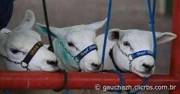 Primeiros animais começam a chegar a Esteio para a 45ª Expointer - GZH