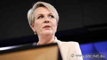 Plibersek will not block controversial $4.5 billion fertiliser plant in Pilbara