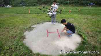 China's aviation regulator sets up goals for drone industry - Euronews