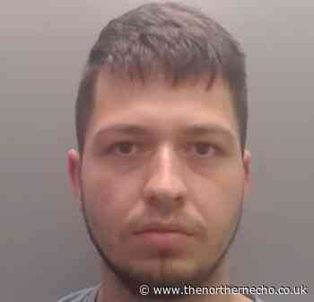 Albanian cannabis grower placed in County Durham home to repay debt to trafficker - The Northern Echo