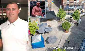 Boris Johnson sends condolences to Tyson Fury after the boxer's cousin was stabbed to death - Daily Mail