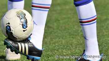 Academy Sampdoria, Luisago nuovo centro tecnico e area scouting Lombardia - Sampdoria News
