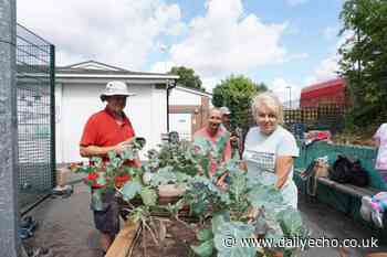 First wheelchair allotment opens in Southampton