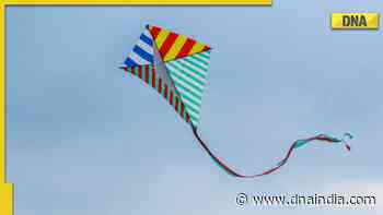 Kite flying part of our culture and heritage: Delhi HC on plea for total ban - DNA India
